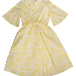 Toile Print Waisted Dress